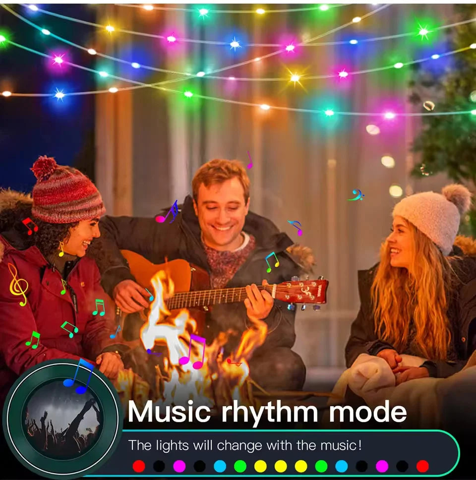 USB Bluetooth RGB LED Fairy String Lights – App Music Sync LED String Lights Richie's