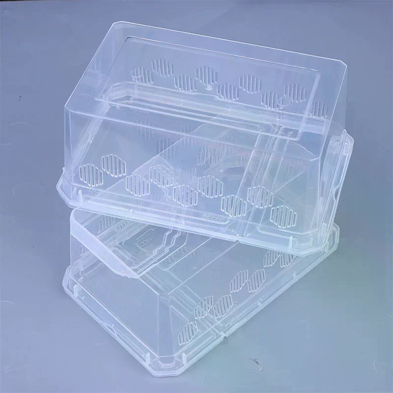 Reptile Breeding Box Vivarium – Clear Plastic Enclosure Reptile Vivarium Richie's