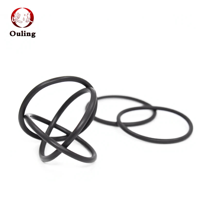 FKM Fluorine Rubber O-Ring Seals CS2–5mm OD5–115mm Black Rubber O-Ring Seal Richie's