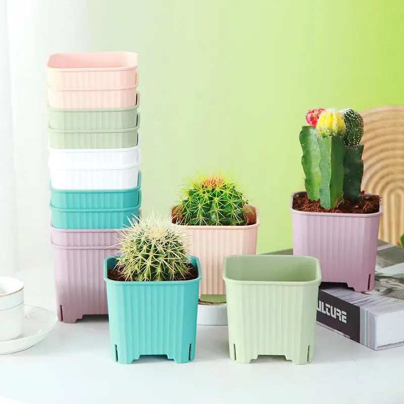 Square Plastic Plant Pots with Drainage – Multicolor Nursery Plant Nursery Pots Richie's