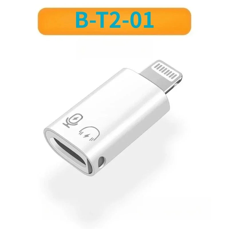 USB-A Female to USB-C Male OTG PD Adapter | Flash Drive USB OTG Adapter Richie's B-T2-01 PD Type-C 1PCS