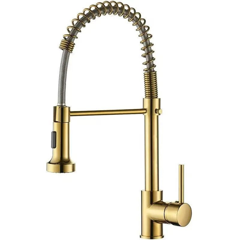 Pull-Out Spring Kitchen Faucet 304 Stainless Steel Hot & Cold Kitchen Faucet Richie's