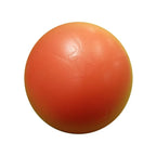 25cm Yoga Pilates Ball – Core Balance & Fitness Training Yoga Exercise Ball Richie's