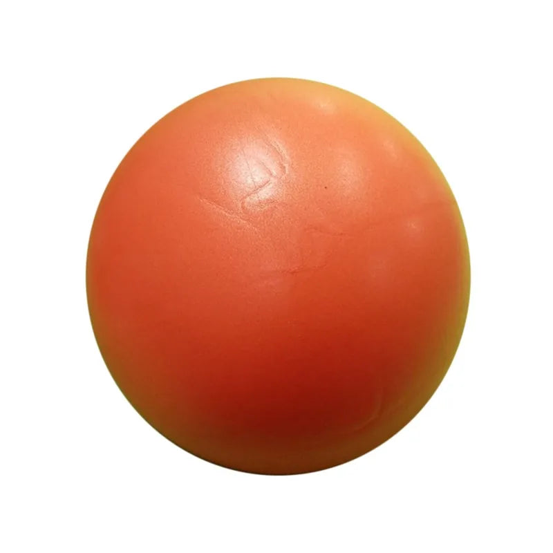 25cm Yoga Pilates Ball – Core Balance & Fitness Training Yoga Exercise Ball Richie's