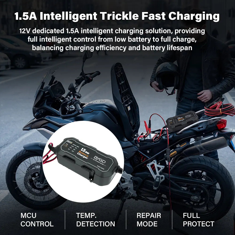 12V Auto Battery Charger & Maintainer with LED – Automotive & Marine Battery Charger Maintainer Richie's