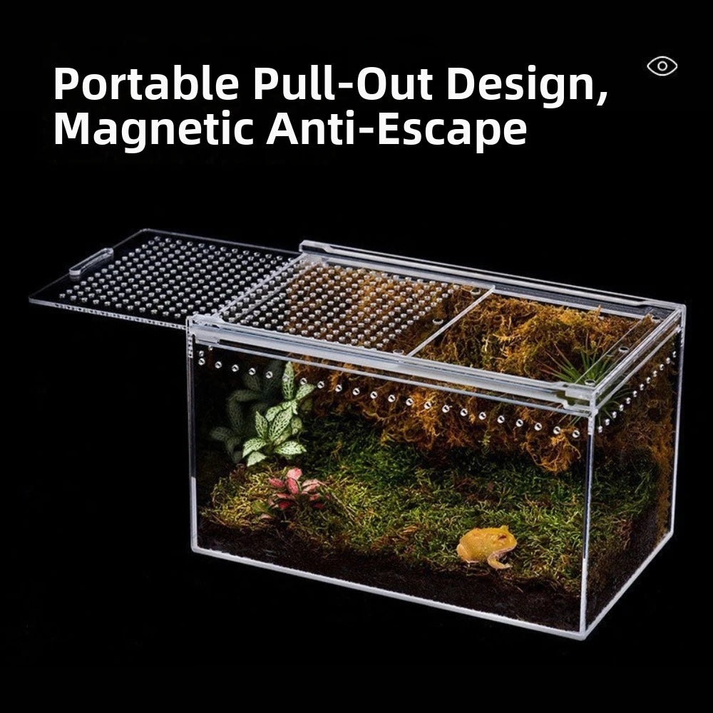 Transparent Acrylic Reptile Terrarium – Ventilated Lizard Habitat Reptile Terrarium Richie's
