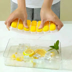 14-Grid Silicone Ice Cube Tray with Lid – Easy Release Square Mold Silicone Ice Cube Tray Richie's