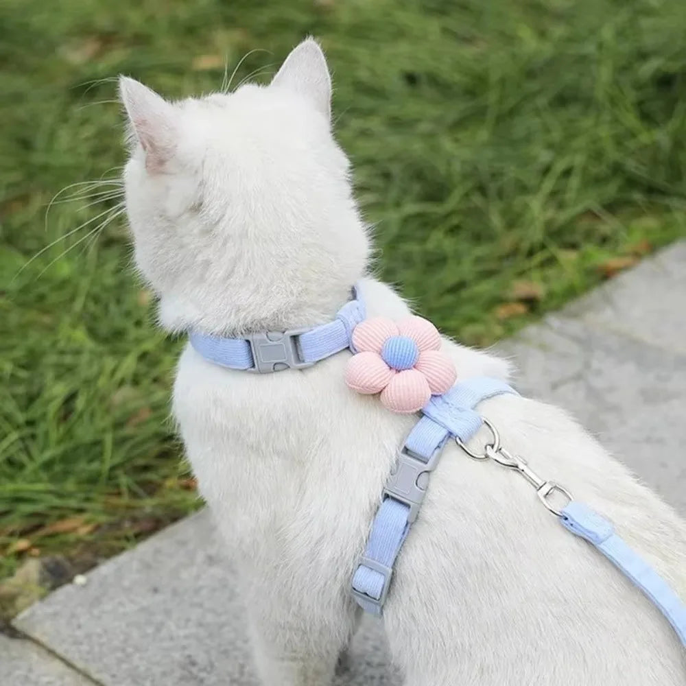 Adjustable Breathable Mesh Cat & Small Dog Harness + Leash Set Pet Harness Set Richie's Blue S