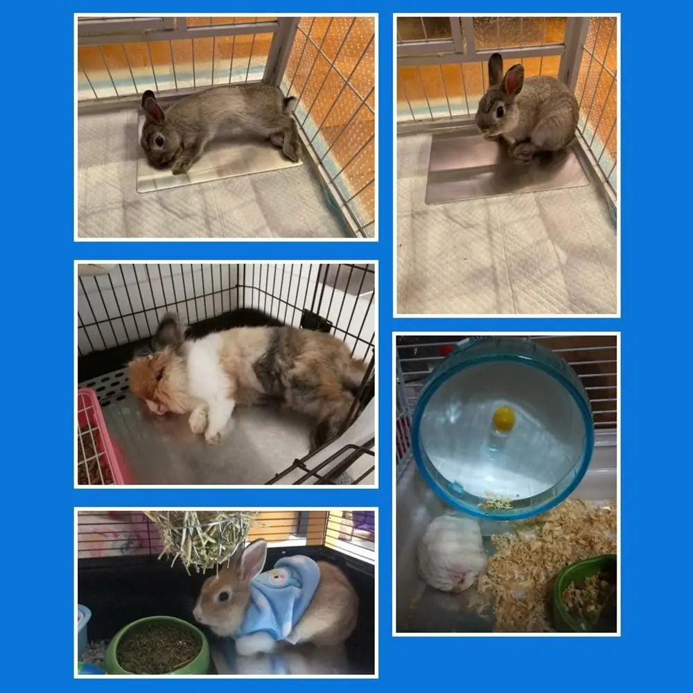 Aluminum Pet Cooling Plate – Summer Cooling Mat for Rabbits Pet Cooling Mat Richie's