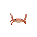 Funny Weightlifting Crab Pen Holder – Cute Desk Organizer Desk Pen Holder Richie's Red