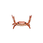 Funny Weightlifting Crab Pen Holder – Cute Desk Organizer Desk Pen Holder Richie's Red