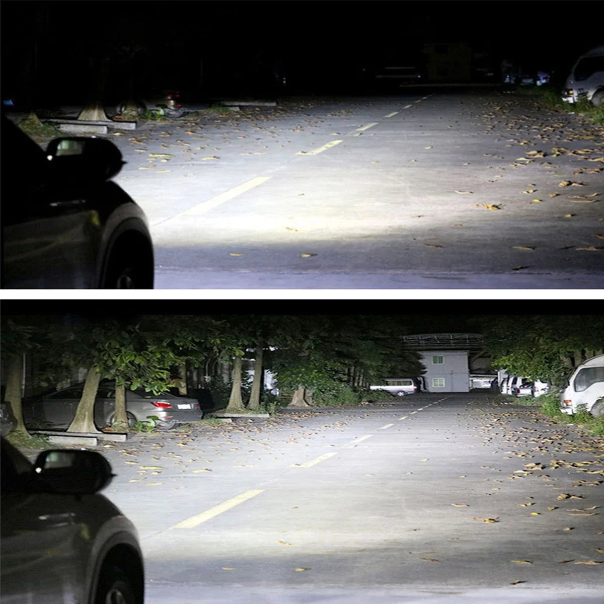 H8/H11 LED Fog Light Bulbs 6000K White 660LM – 2 Pack, 12V LED Fog Light Bulbs Richie's