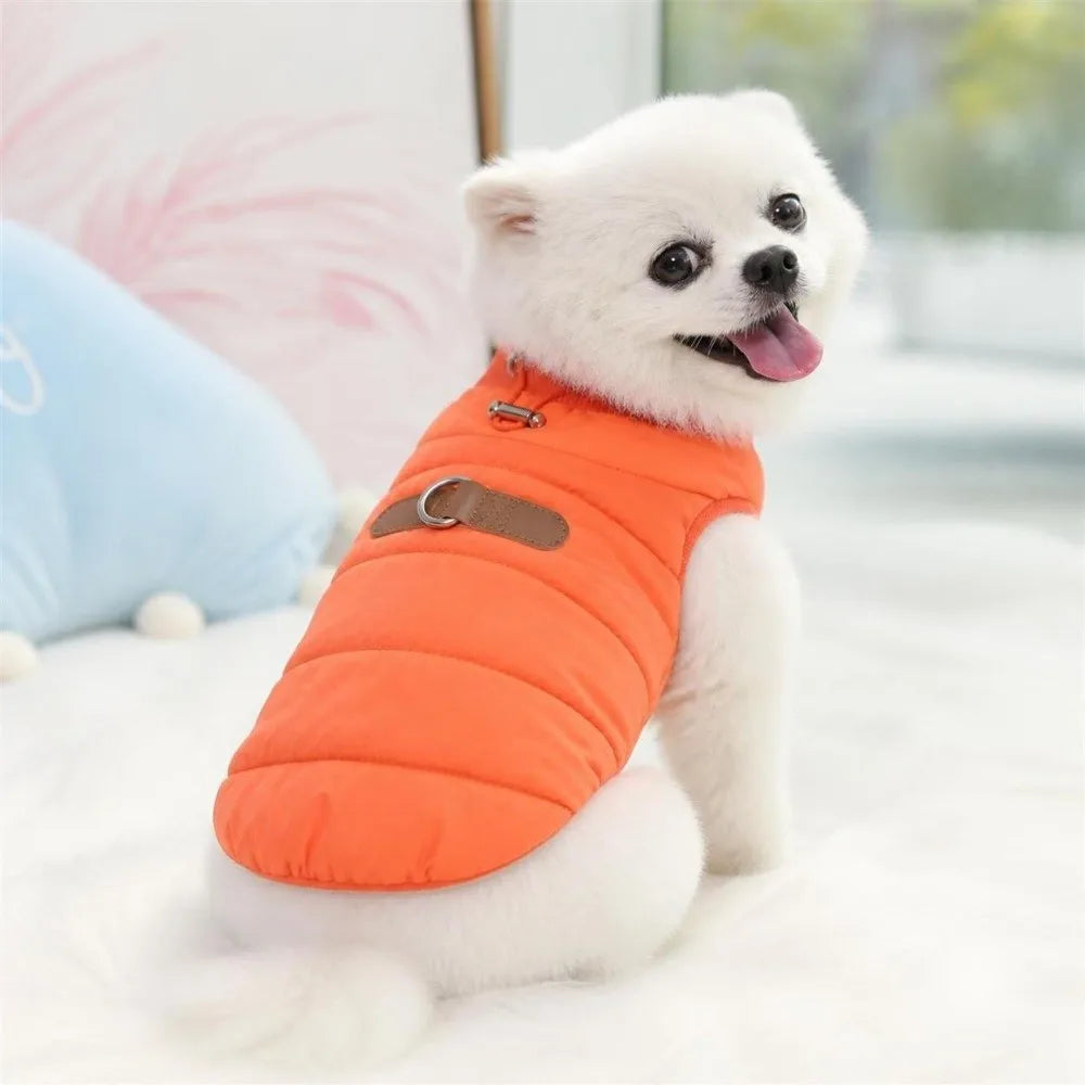 Windproof Padded Dog Winter Jacket for Small & Medium Dogs Dog Winter Jacket Richie's