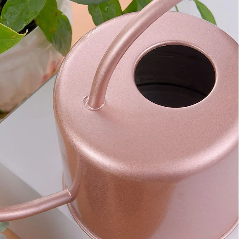 1.3L Stainless Steel Watering Can – Long Spout Garden Kettle Garden Watering Can Richie's