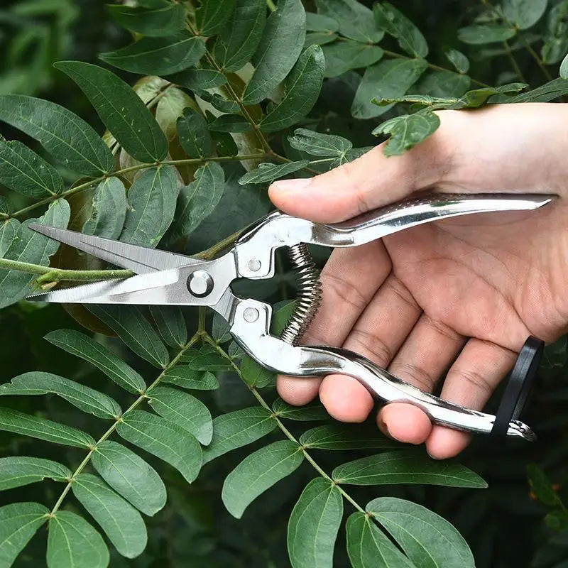Stainless Steel Pruning Shears – Sharp Precision Garden Shears Pruning Shears Richie's