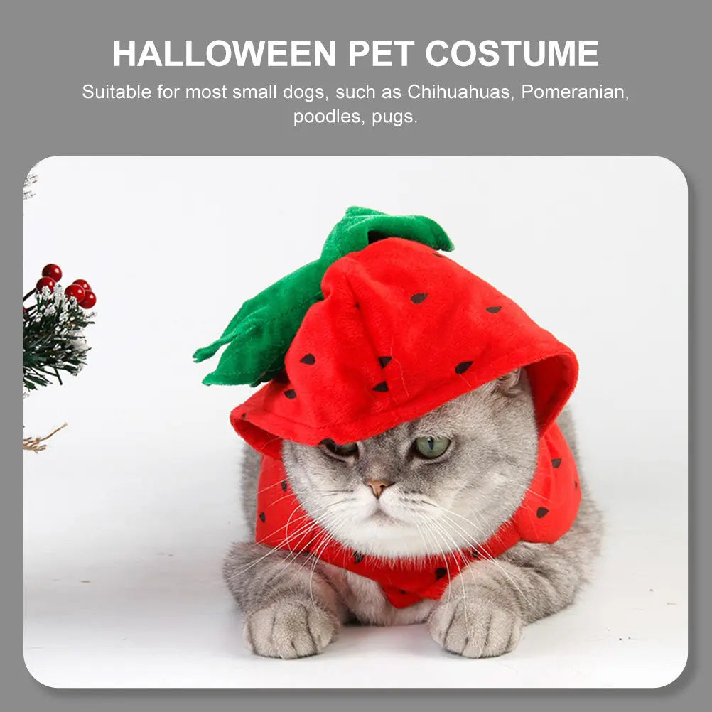 Strawberry Pet Costume for Small Dogs & Cats | Festival Outfit Pet Costume Richie's