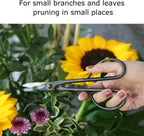 FATCOOL Long Handle Bonsai Pruning Shears Garden Scissors Pruning Shears Richie's