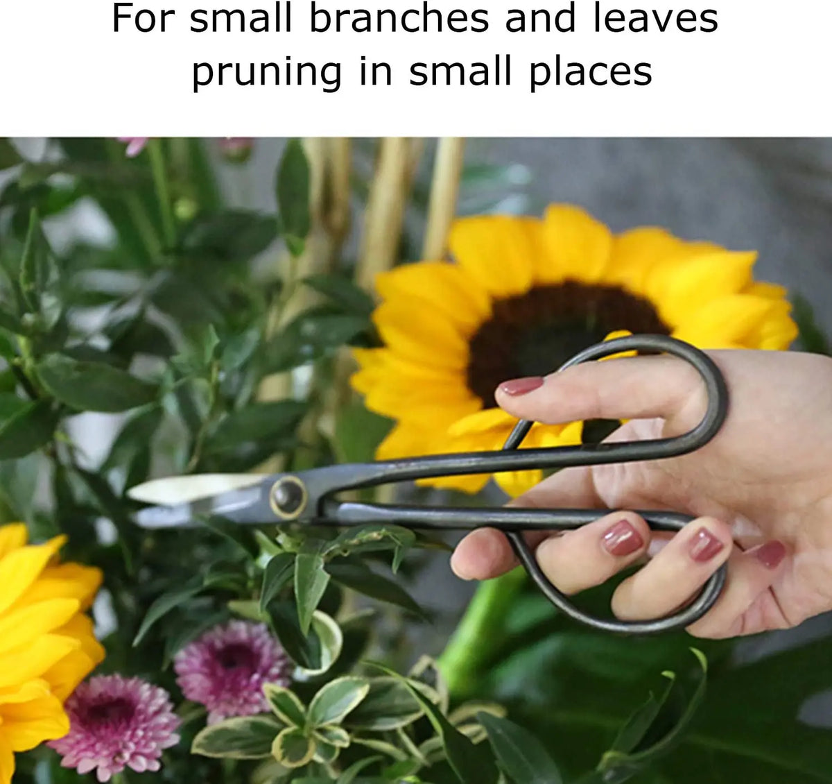 FATCOOL Long Handle Bonsai Pruning Shears Garden Scissors Pruning Shears Richie's