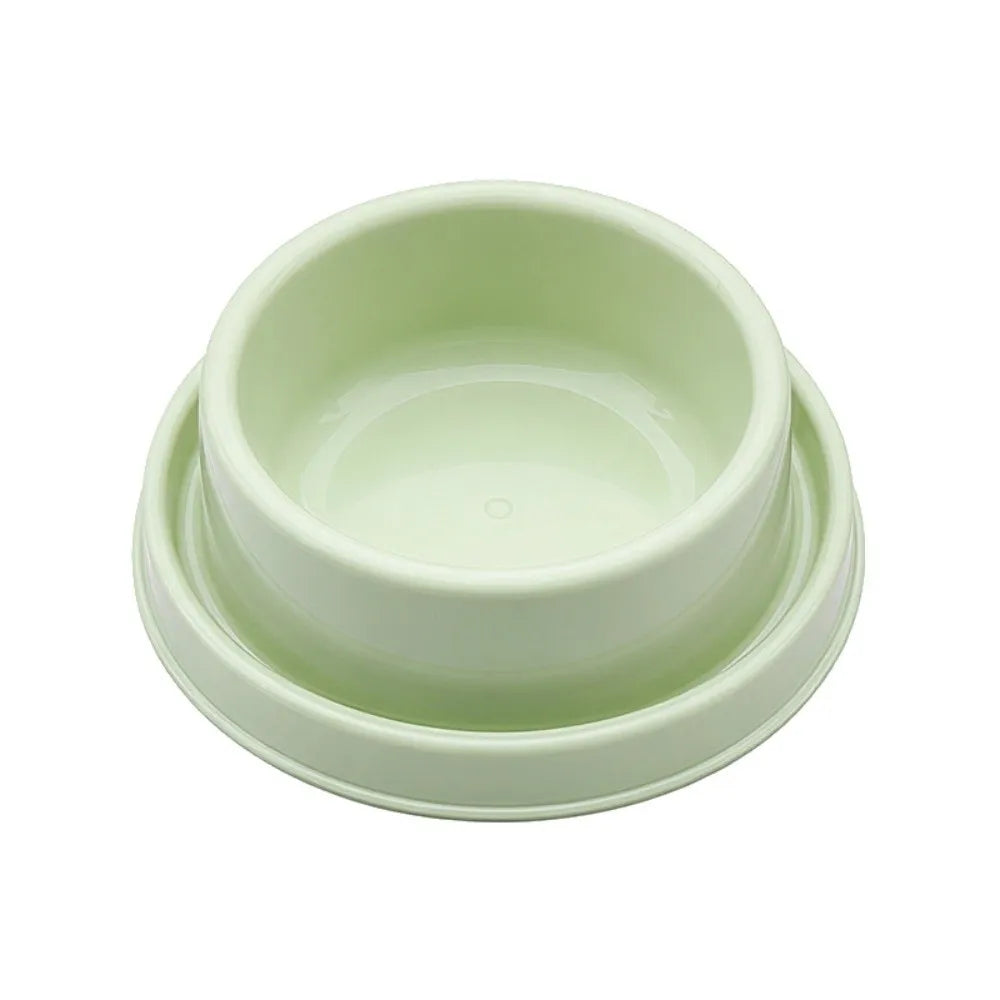 BPA-Free Anti-Ant Cat Bowl with Water Moat | Pet Feeder Cat Feeding Bowl Richie's Green