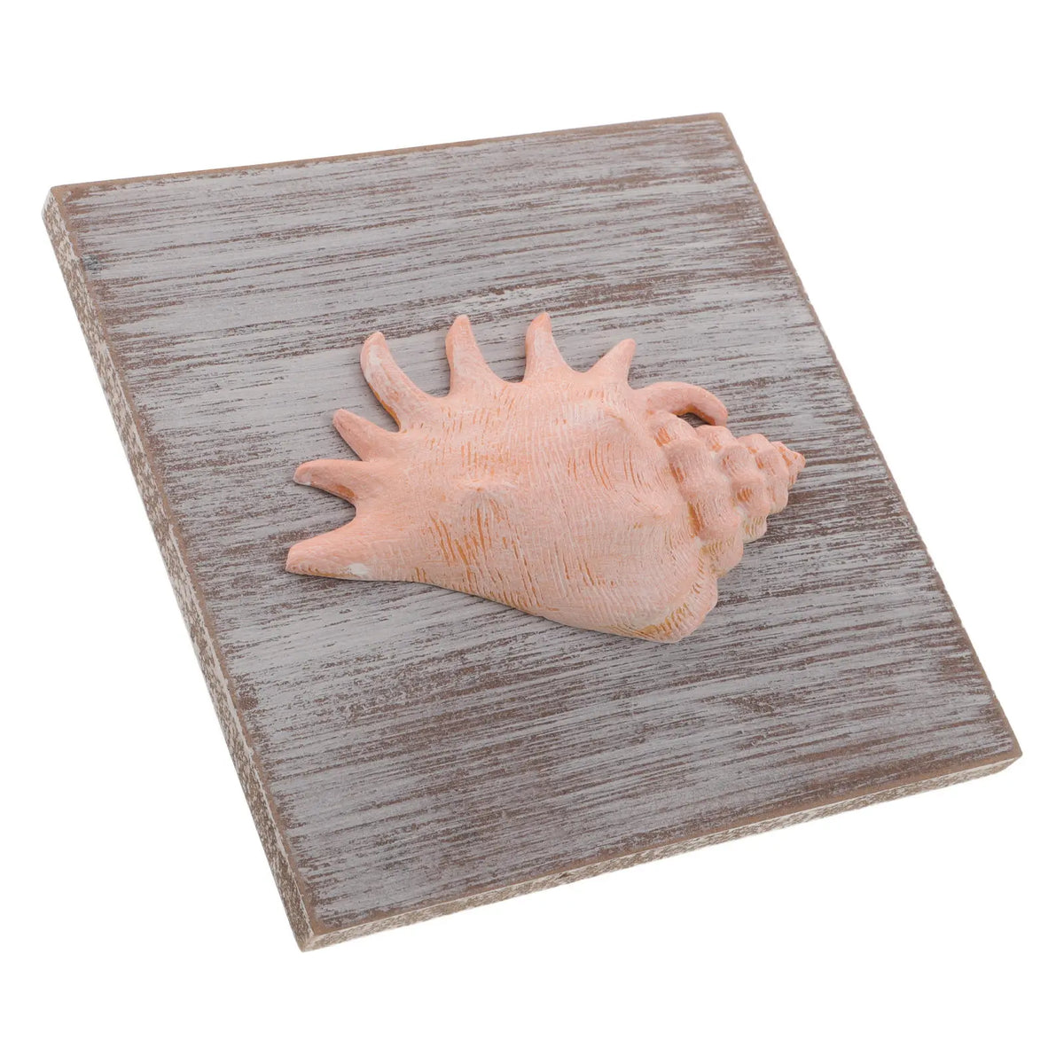 Rustic Seashell Wood Frame Coastal Wall Hanging Decor Coastal Wall Art Richie's