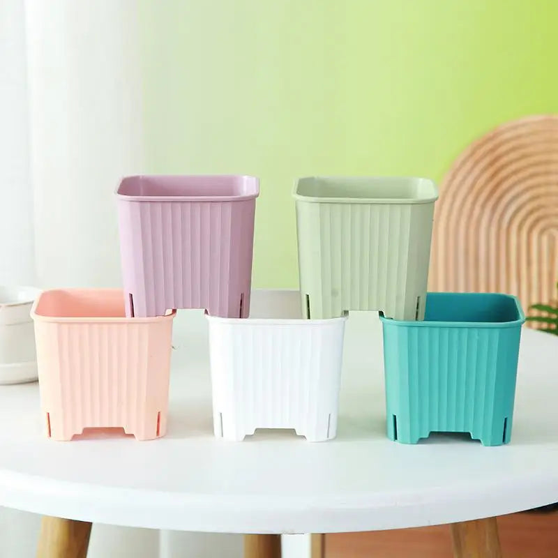 Square Plastic Plant Pots with Drainage – Multicolor Nursery Plant Nursery Pots Richie's