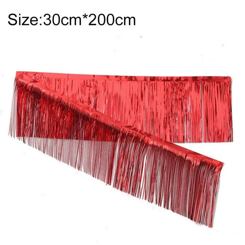 Metallic Foil Tassel Fringe Garland Curtain 30×200cm Party Party Fringe Curtain Richie's