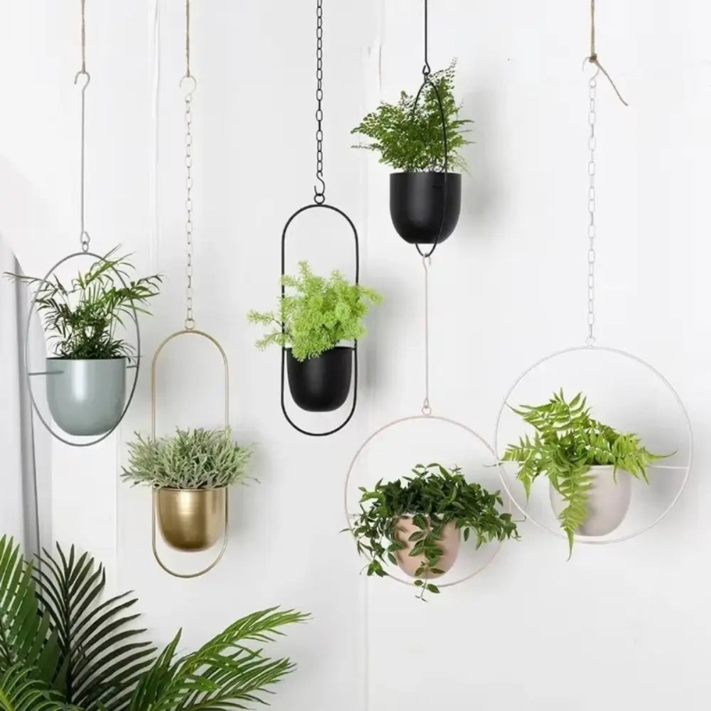 Iron Hanging Flower Pot Basket with Hook – Home Decor Hanging Planter Richie's