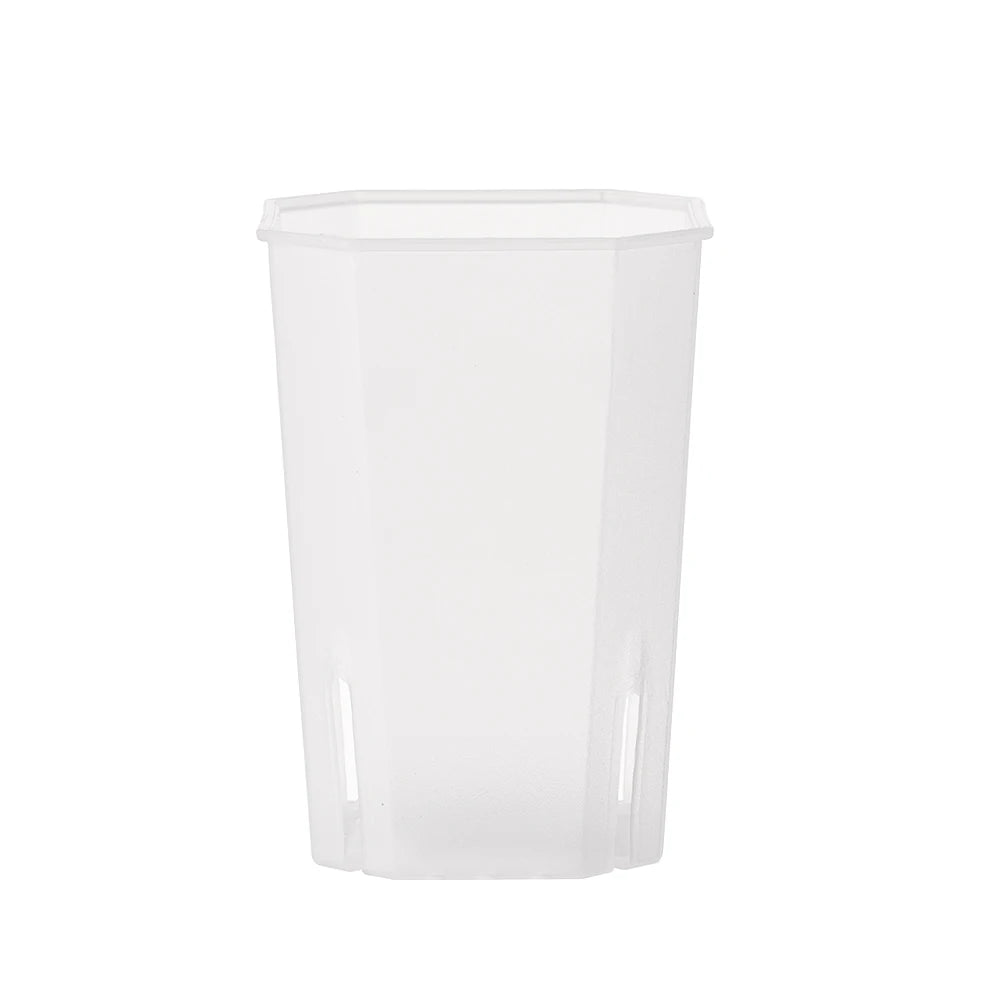 Side-Opening Octagonal Succulent Pot | Modern Planter Succulent Planter Pot Richie's Transparent-S