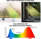 LED USB Grow Light Full Spectrum 3000K Dimmable Clip Phytolamp LED Grow Light Richie's