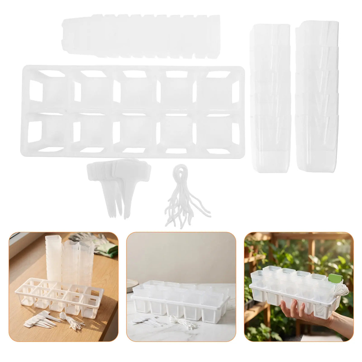 Self-Watering Succulent Propagation Planter Set | 10 Cups Self-Watering Planter Set Richie's