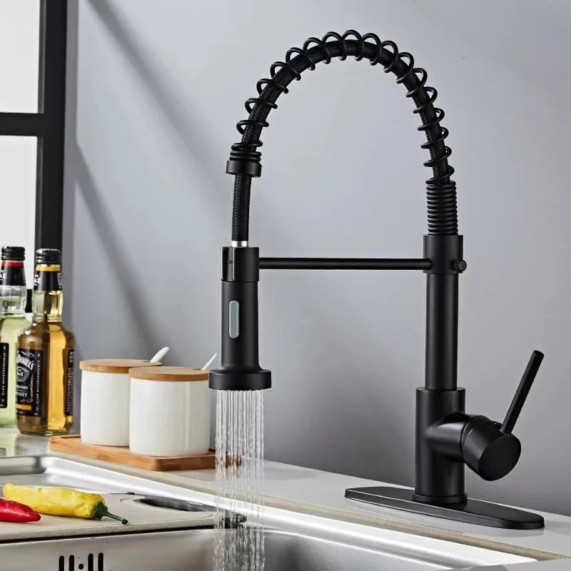 Pull-Out Spring Kitchen Faucet 304 Stainless Steel Hot & Cold Kitchen Faucet Richie's