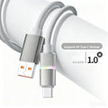 100W Fast Charging Braided USB-A to USB-C Cable 0.3m USB Charging Cable Richie's Silver 1m