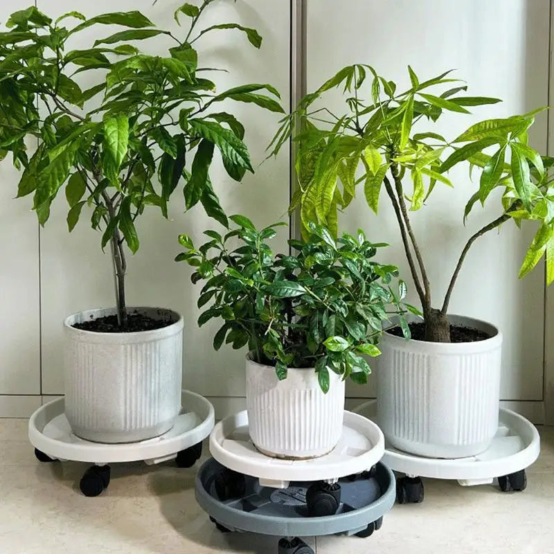 Rolling Plant Pot Tray with 360° Wheels | Movable Flower Base Rolling Plant Tray Richie's