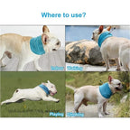Pet Cooling Towel Scarf with Leash Hole | Dog Ice Collar Dog Cooling Scarf Richie's