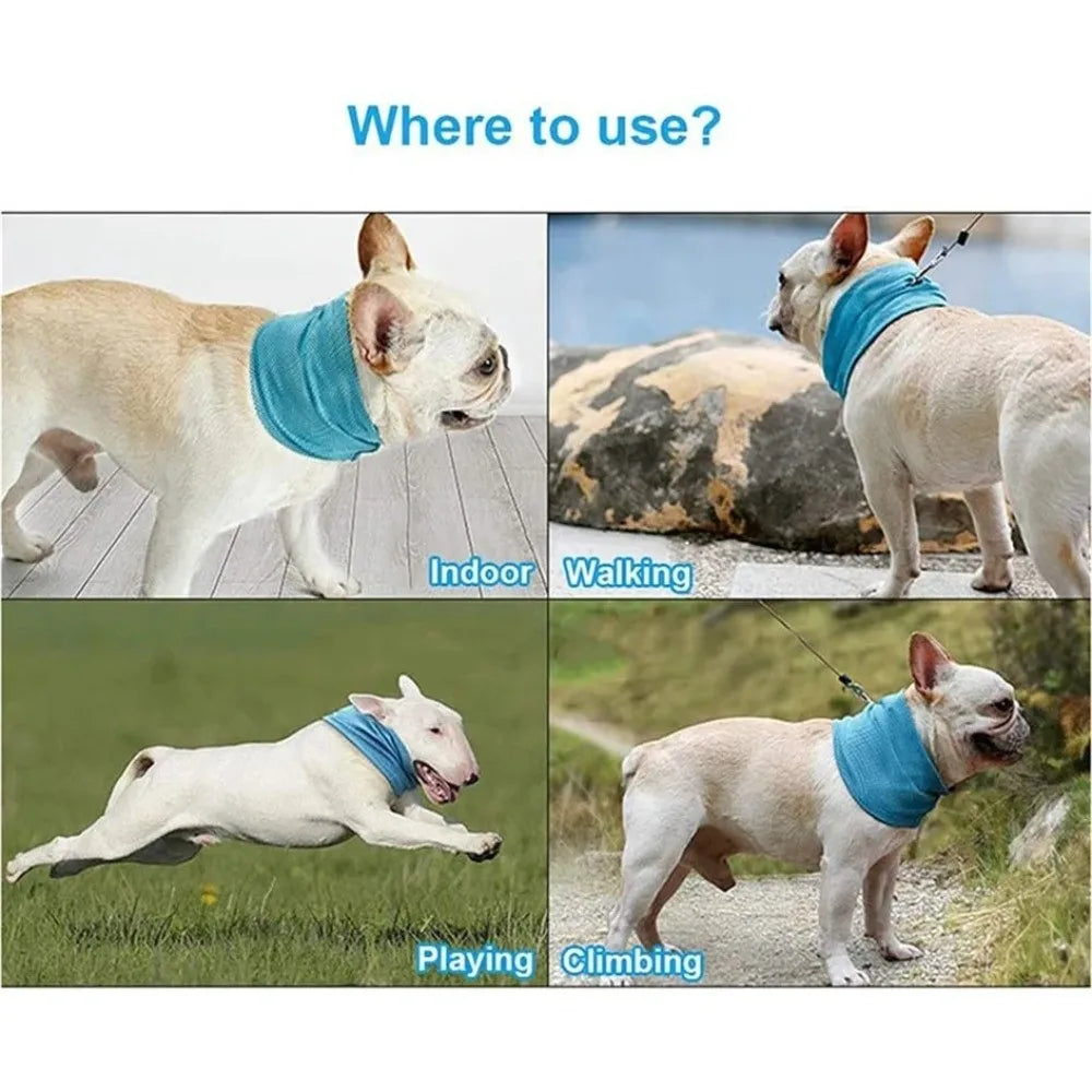 Pet Cooling Towel Scarf with Leash Hole | Dog Ice Collar Dog Cooling Scarf Richie's