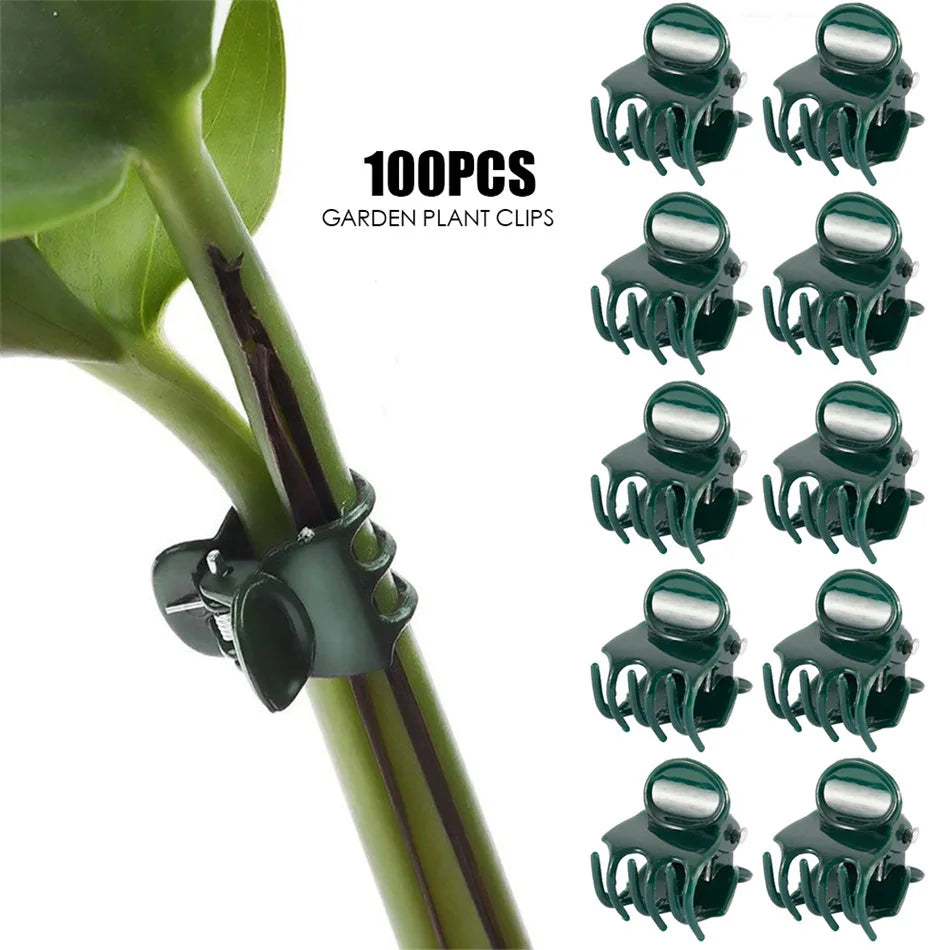 100pc Plant Support Clips for Orchids, Vines & Climbing Plants Plant Support Clips Richie's 100PCS