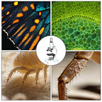Monocular Compound Microscope 64X–2400X for Kids & Students Compound Microscope Richie's