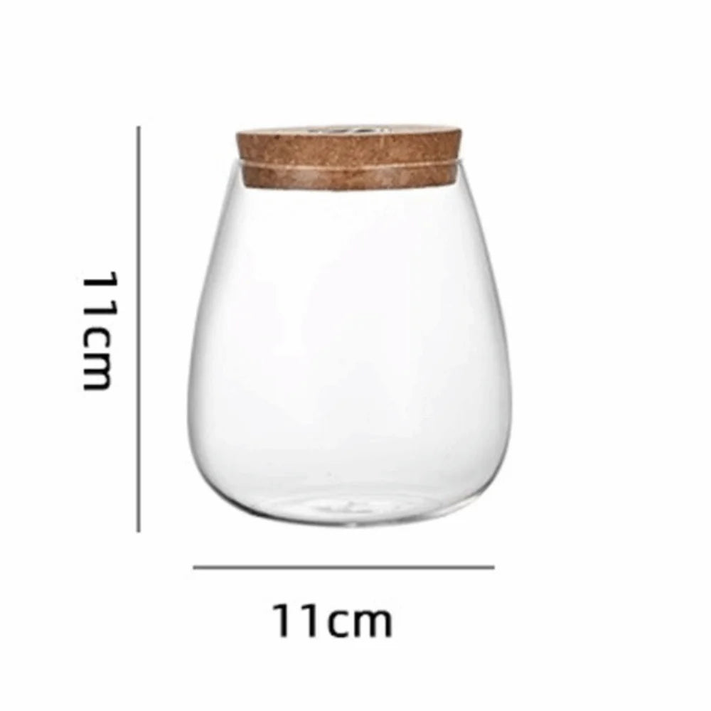 Glass Propagation Station Vase Rack with Wooden Base Glass Propagation Vase Richie's Style7