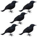 Realistic Black Raven Set – Halloween Decor Props Halloween Decor Prop Richie's black 5pcs