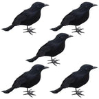 Realistic Black Raven Set – Halloween Decor Props Halloween Decor Prop Richie's black 5pcs