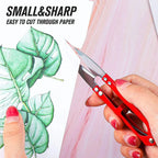 3-Pack Mini Pruning Shears – Garden & Craft Scissors Set Mini Pruning Shears Richie's