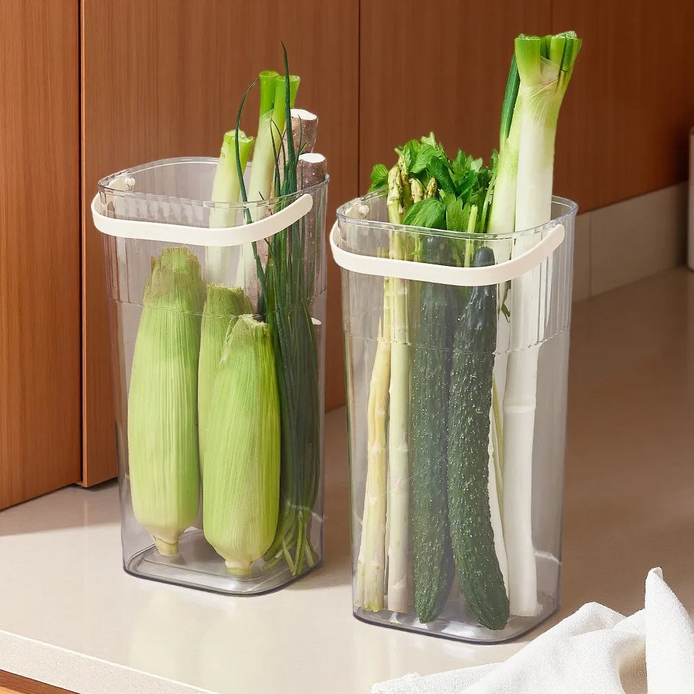 Transparent Vegetable Storage Bucket – Green Onion Organizer Vegetable Storage Bucket Richie's