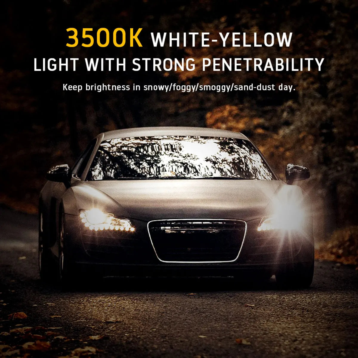 H7 100W Halogen Bulbs 6000K Super Bright Fog & Headlights Automotive Halogen Bulbs Richie's