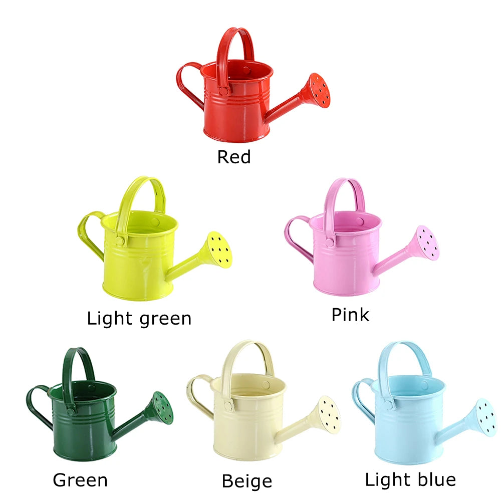Kawaii Vintage Metal Watering Can – Flower & Plant Kettle Metal Watering Can Richie's