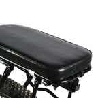 Bike Rear Seat Cushion with Backrest & Foot Pedals Bike Rear Seat Richie's