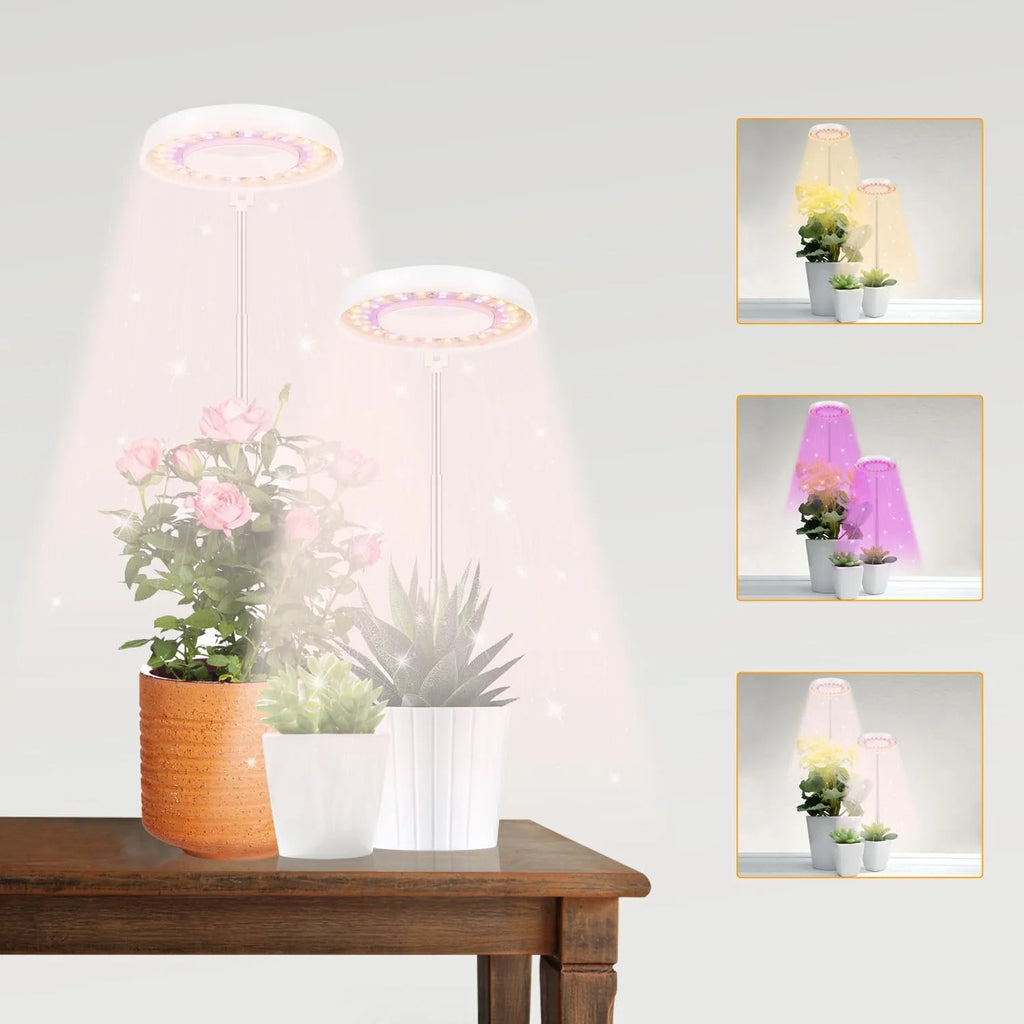 KEBINCPLED Angel Ring LED Grow Light | Full Spectrum USB 5V LED Grow Light Richie's 2PCS White 3Colors USB No plug