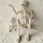 Posable Halloween Skeleton Prop – 15.7" Realistic Plastic Bones Halloween Skeleton Prop Richie's