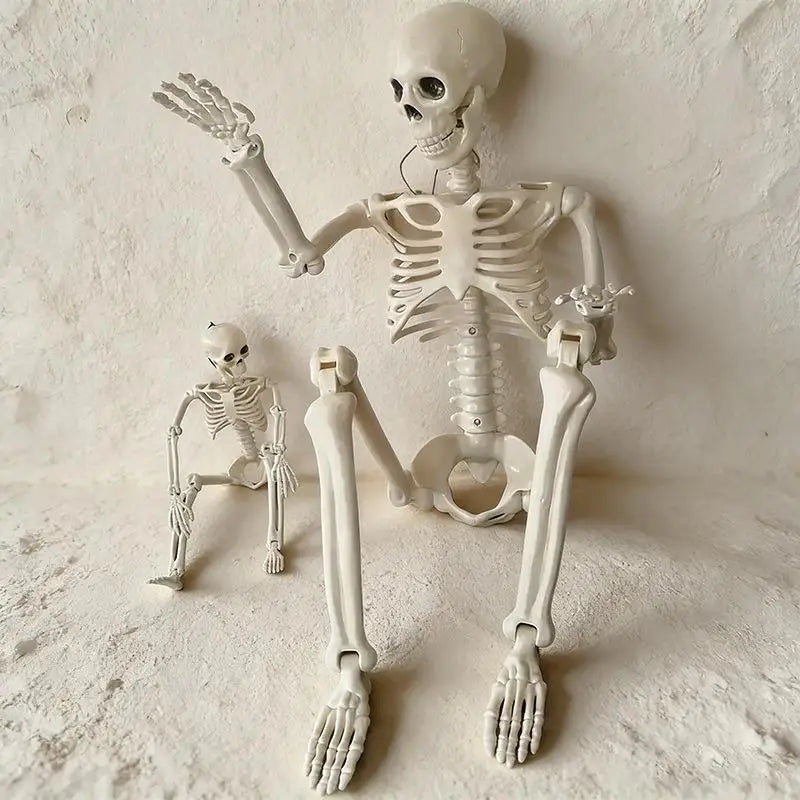 Posable Halloween Skeleton Prop – 15.7" Realistic Plastic Bones Halloween Skeleton Prop Richie's