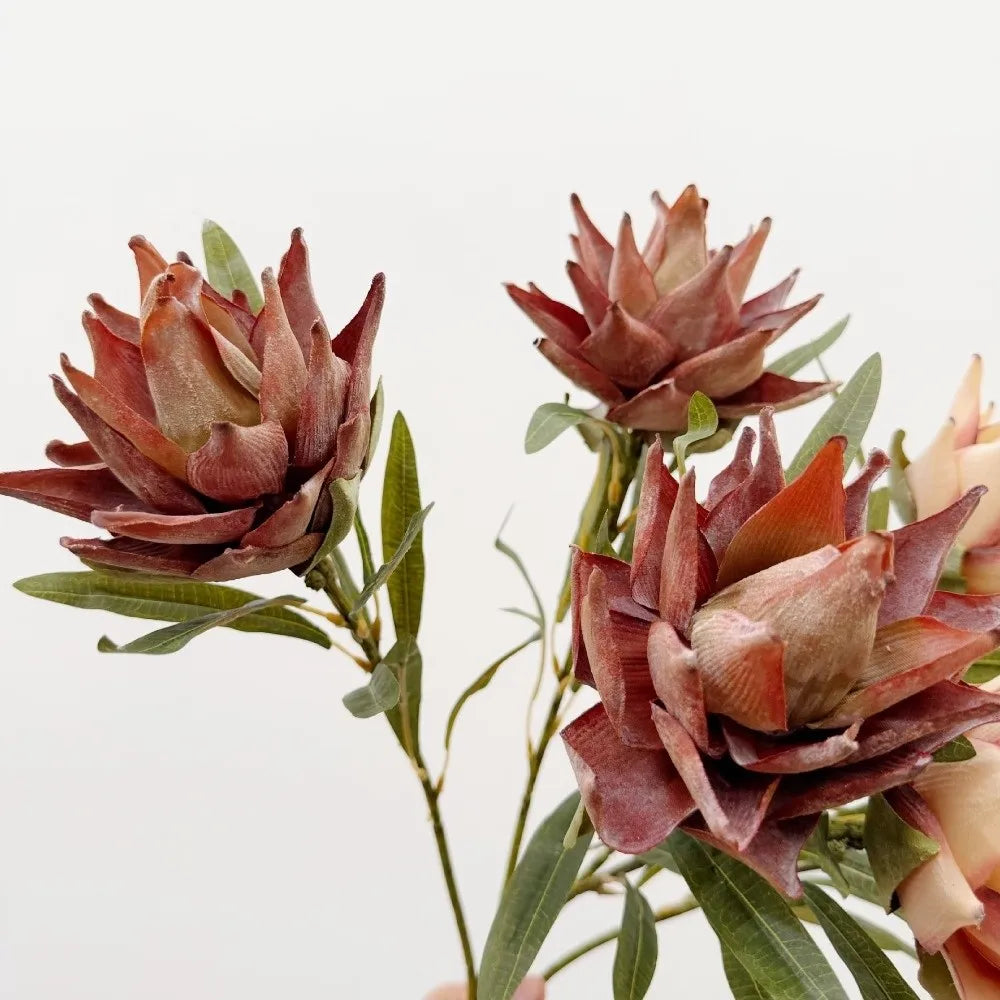 Flocked Artificial Emperor Protea Flower Large Silk Bloom 65cm Artificial Flower Richie's