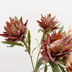 Flocked Artificial Emperor Protea Flower Large Silk Bloom 65cm Artificial Flower Richie's